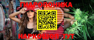тгк Аргун